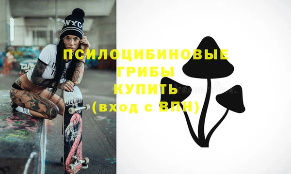 амф Заводоуковск