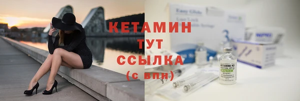 прущие грибы Елизово