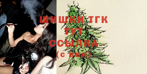 прущие грибы Елизово